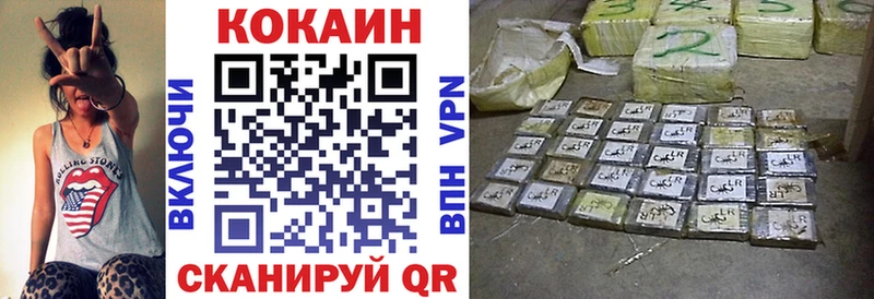 Купить закладки  Жердевка  Кокаин Columbia 