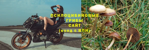 спиды Заволжье