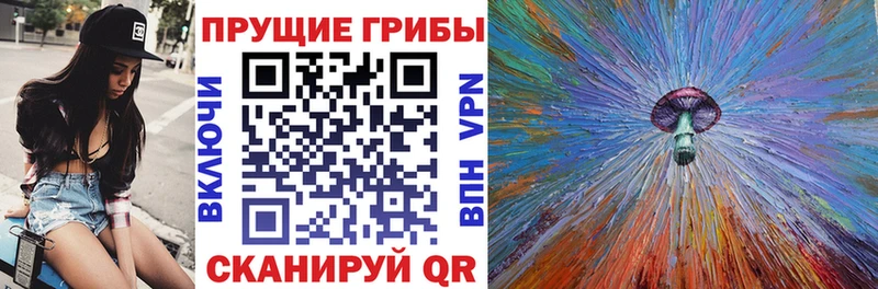 Псилоцибиновые грибы мицелий  Купить закладки  Жердевка 